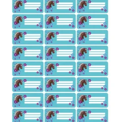 Sale 4 er Set  A4 Stundenplan + Lernposter + Heftaufkleber  | Pony Blumen - türkis lila Kinder Einschulung