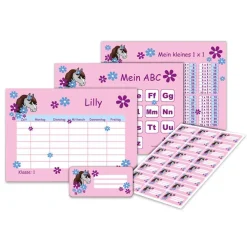 Best 4 er Set  A4 Stundenplan + Lernposter + Heftaufkleber  | Pony Blumen - rosa Kinder Einschulung