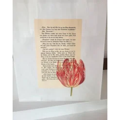 Best 3 er Set Geschenktüten mit alter Buchseite 