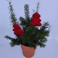 Best 2 kleine gehäkelte Tannenbäumchen Weihnachtsdeko