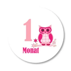 12 Meilensteinaufkleber Eule rosa Aufkleber zwölf Monate Baby Mädchen Kinder Dekoration