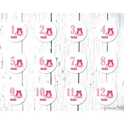 12 Meilensteinaufkleber Eule rosa Aufkleber zwölf Monate Baby Mädchen Kinder Dekoration
