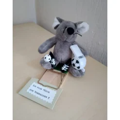 Best Achtung Mäuse Geldgeschenk für Fußballer – Originelle Mausefalle mit Plüschmaus als Geschenkidee Geschenke