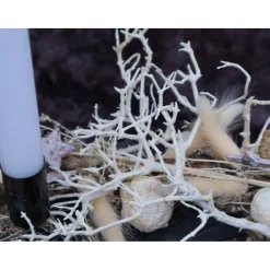Adventskränze|DeinZuhause Adventskranz Holz mit Trockenblumen schwarz natur modern
