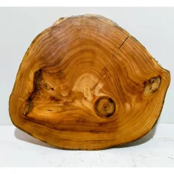 Best Baumscheibe, Holzscheibe, gestockt, Ulme, Bastelholz, Holz Geschenke
