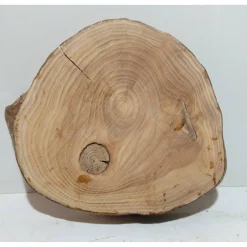 Best Baumscheibe, Holzscheibe, gestockt, Ulme, Bastelholz, Holz Geschenke