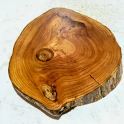 Best Baumscheibe, Holzscheibe, gestockt, Ulme, Bastelholz, Holz Geschenke