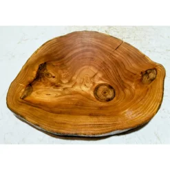 Best Baumscheibe, Holzscheibe, gestockt, Ulme, Bastelholz, Holz Geschenke