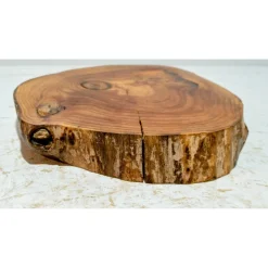 Best Baumscheibe, Holzscheibe, gestockt, Ulme, Bastelholz, Holz Geschenke