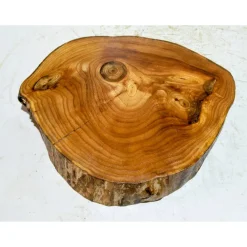 Best Baumscheibe, Holzscheibe, gestockt, Ulme, Bastelholz, Holz Geschenke