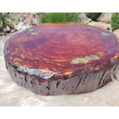 Best Baumscheibe, Tisch-Platte, TablettBaumscheibe Holzscheibe Hochzeitdeko,Dekoration, Tischdeko, Unikat Gastgeschenke