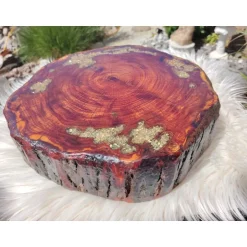 Best Baumscheibe, Tisch-Platte, TablettBaumscheibe Holzscheibe Hochzeitdeko,Dekoration, Tischdeko, Unikat Gastgeschenke