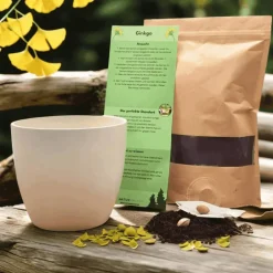 Discount Besonderes Geschenk - Blumentopf graviert - Sternzeichen Schütze Dekoration