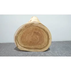 Best Biete hier eine Baumscheibe, Holzscheibe gestockte Traubenkirsche an Geschenke