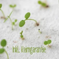 Best Einpflanzbare Karte zu Ostern aus Samenpapier | nachhaltige Geschenke | Grußkarte zu Ostern Osterkarten