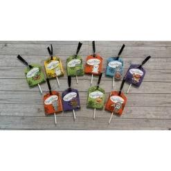 Best 10er Set Goodies / Gastgeschenke zu Halloween oder für einen Geburtstag inkl. Lutscher / Lolli, Mitbringsel, Handarbeit Kinder Gastgeschenke