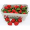 Clearance Erdbeere - Deko - Jahreszeitentisch - Sommer Sommer