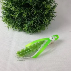Sale Gastgeschenk mit 5 Seifenherzen i. Reagenzglas GRÜN - APFEL Gastgeschenke