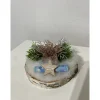 Best Geldgeschenk für Weihnachten, Weihnachtsgeschenk, Geschenkidee zu Weihnachten, Weihnachtsgeld, Weihnachtsdeko auf Baumsc Geldgeschenke