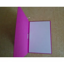 Geldgeschenk  Kommunion Mädchen Fisch Reagenzglas Verpackung Geldverpackung Wunscherfüller Pink Geschenk Geldgeschenke