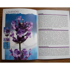 Best Geschenk Booklet , Büchlein, Taschenbuch mit Geschenkkarte - Essenzen aus der Natur Geschenke