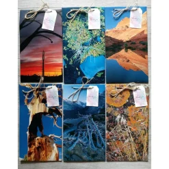 Best Geschenktüten Papiertüten aus einem Natur Bildband Geschenkverpackungen