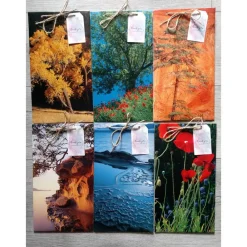 Best Geschenktüten Papiertüten aus einem Natur Bildband Geschenkverpackungen