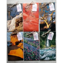 Best Geschenktüten Papiertüten aus einem Natur Bildband Geschenkverpackungen