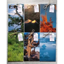 Best Geschenktüten Papiertüten aus einem Natur Bildband Geschenkverpackungen