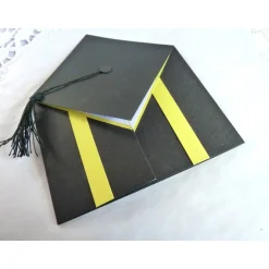 Glückwunschkarten|IdeenOase Glückwunschkarte, Klappkarte zur Promotion, Master, Bachelor, Abitur, mit klappbaren Doktorhut, Doktorhutkarte