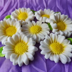 Tortendekoration|TortenDekor Gänseblümchen aus Fondant als ation für Motivtorten,