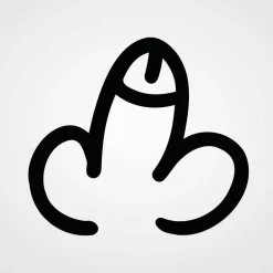 Junggesellenabschied|Kreativschmalz Großer Penis Aufkleber Normus Decentus | Autosticker | Pimmel Autoaufkleber JGA Junggesellenabschied | Scherz