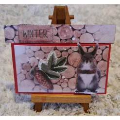 Sale Gutscheinverpackung " Winter " Tannenzapfen , Eichhörnchen , Holzoptik Geschenkverpackungen