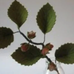 Haselnuss - Blumenkind - Jahreszeitentisch - Waldorf Art- Art.Nr. HE26 Herbst
