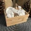 Discount Herbstzauber Geschenkset handgemachte Raysin-Deko mit Eichhörnchen Kürbissen & Kerzenlicht Herbst