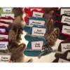 Accessoires|krissimissi Hut-Anstecker Oktoberfest Trachtenbrosche Filzbrosche Wiesn-Namensträger beschriftet Tracht Wunschbeschriftung personalisiert Firmenlogo