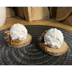 Clearance Igel Holzscheibe Tischdeko Herbst Herbstdekoration Herbsdeko Wohndeko Geschenk Geschenkidee Mitbringsel Gastgeschenk Tischdekoration