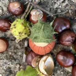 Best Kastanien Mini - Blumenkind - Jahreszeitentisch - Herbst Herbst
