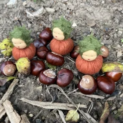 Best Kastanien Mini - Blumenkind - Jahreszeitentisch - Herbst Herbst