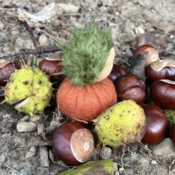 Best Kastanien Mini - Blumenkind - Jahreszeitentisch - Herbst Herbst