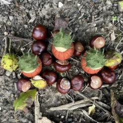 Best Kastanien Mini - Blumenkind - Jahreszeitentisch - Herbst Herbst