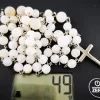 Outlet katholischer Rosenkranz, Achatperlen und Edelstahl Rosenkränze