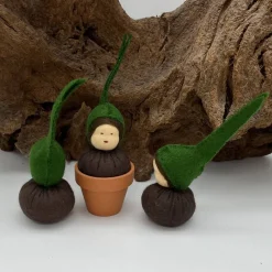 Discount Keimlinge Mini - Jahreszeitentisch - Blumenkind - Frühjahr - Frühlingsdeko Frühling