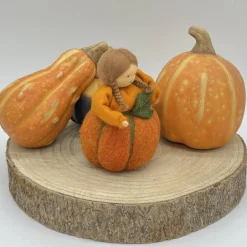 Clearance Kürbis - Jahreszeitentisch - Blumenmädchen  - Herbst Herbst