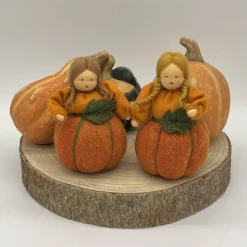 Clearance Kürbis - Jahreszeitentisch - Blumenmädchen  - Herbst Herbst