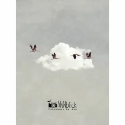 Best Kunstdruck Druck Print "Glücksvögel", Kraniche vor weißer Wolke, blau grau weiß, Glücksgeschenk Geschenke