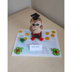 Clearance Originelles Geldgeschenk Schulabschluss Abitur – Eule mit Doktorhut & Geldklammer als Geschenkidee Geschenke