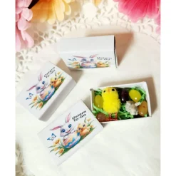 Discount OsternTo-Go in der Schachtel, Hase, Ostern, Frühling, Osterhase, Mitbringsel, Mitgebsel, Geschenk, Ostergeschenk, Kleini Osterkörbchen