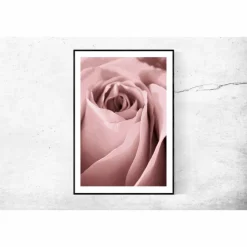 Outlet Rose in Altrosa, Botanisches Poster einer Blume in Nahaufnahme, Makrofotografie einer Blüte, Wandbild Größe 45 x 30 cm Geschenke Für Frauen