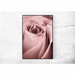 Outlet Rose in Altrosa, Botanisches Poster einer Blume in Nahaufnahme, Makrofotografie einer Blüte, Wandbild Größe 45 x 30 cm Geschenke Für Frauen